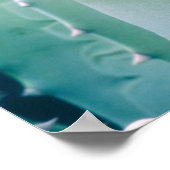 Poster Patterns de Agave (Coin)