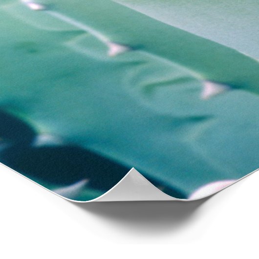 Poster Patterns de Agave (Coin)