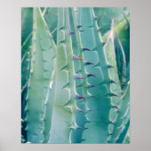 Poster Patterns de Agave (Devant)
