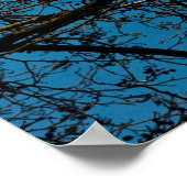 Poster Patterns in the sky (Coin)