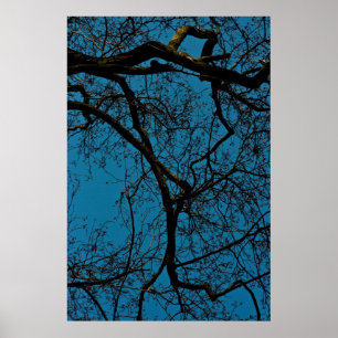 Poster Patterns in the sky