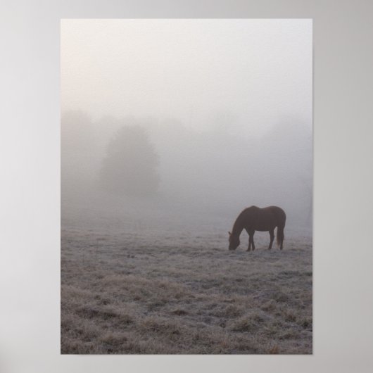 Poster Pâturage (Devant)