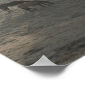 Poster Pâturage (Coin)