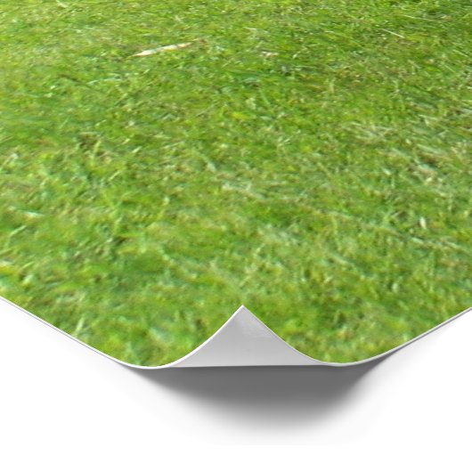 Poster Pâturage (Coin)