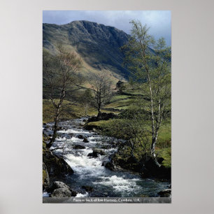 Poster Pâturage beck à low Hartsop, Cumbria, Royaume-Uni.
