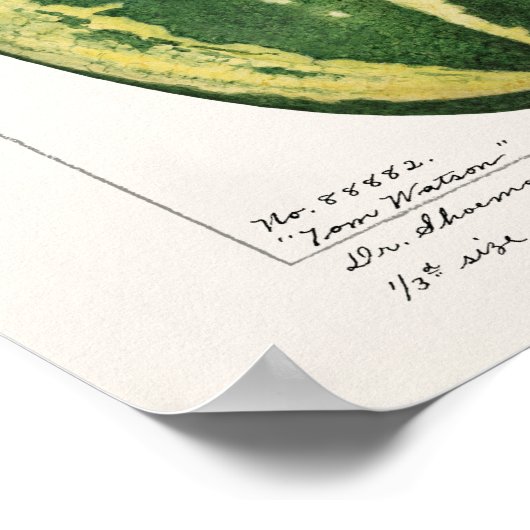 Poster Pâturage de pastèque (Citrullus Lanatus) (Coin)