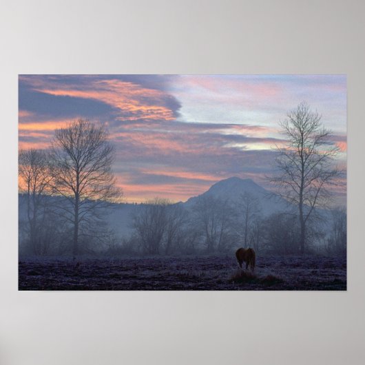 Poster Pâturage Lonely Horse (Devant)