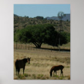 Poster Pâturage parfait (Devant)