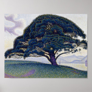 Poster Paul Signac - le pin de Bonaventure