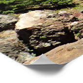 Poster Paulina Creek Falls, Oregon (Coin)