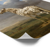 Poster Paulus Potter - Le Cheval Piebald. Image vintage (Coin)