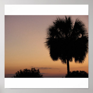 Poster Paume de Charleston