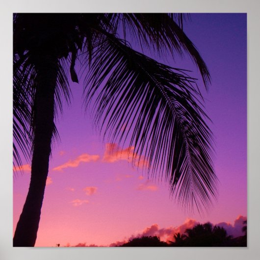 Poster paume saphir (Devant)