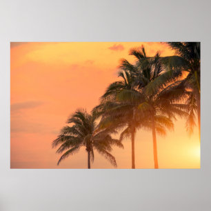 Poster Paumes de Miami