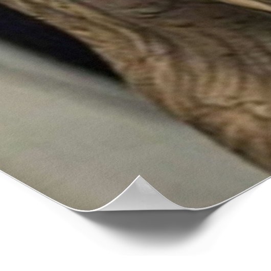 Poster Pause de la prison Michael Scofield (Coin)