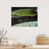 Poster Pavé de croissance (Cuisine)