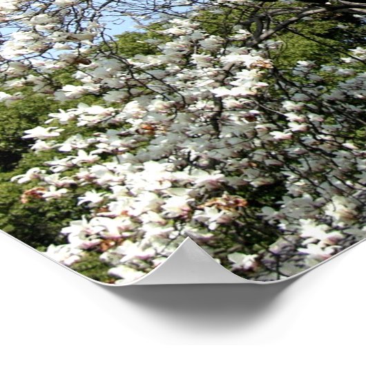 Poster Pavillon chinois (Coin)