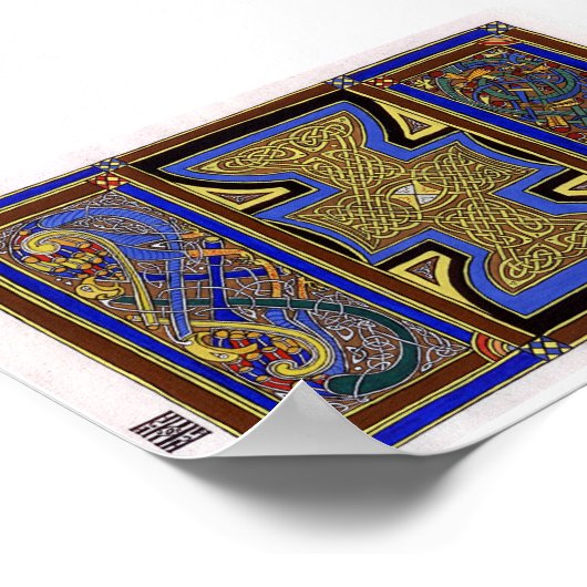 Poster Pavo Floris (Coin)