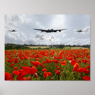 Poster Pavot
