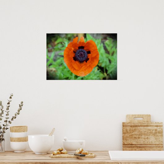 Poster Pavot, (Cuisine)