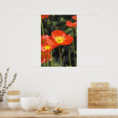 Poster Pavot 1 (Cuisine)