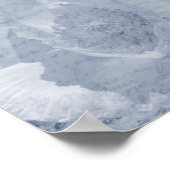 Poster Pavot 2 (Coin)