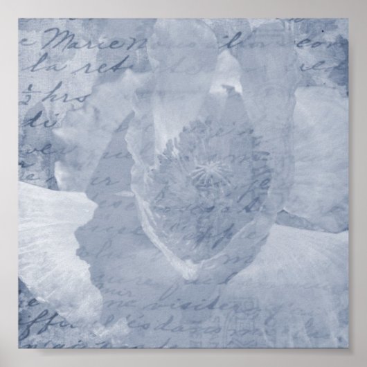 Poster Pavot 2 (Devant)