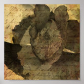 Poster Pavot 3 (Devant)