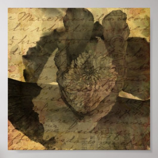 Poster Pavot 3 (Devant)