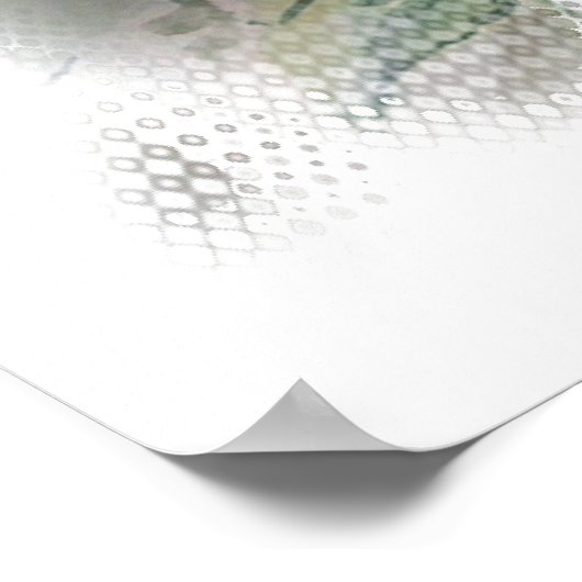 Poster Pavot à écarlate d'aquarelle (Coin)