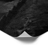 Poster Pavot blanc après la pluie (Coin)