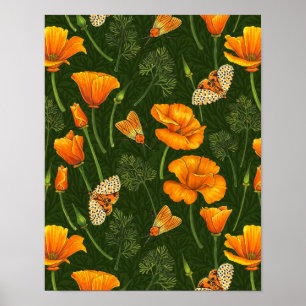 Poster Pavot de Californie et papillons de nuit sur vert 