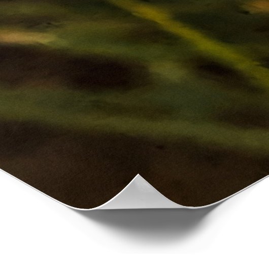 Poster Pavot de Californie - Poppy de Californie 4 (Coin)