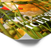 Poster Pavot d'Islande (Coin)