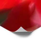 Poster Pavot en feu ! (Coin)