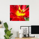 Poster Pavot en feu ! (Bureau à domicile)