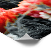 Poster Pavot fleur sauvage (Coin)