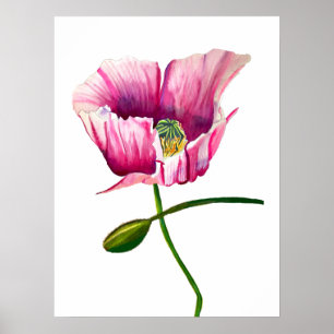 Poster Pavot rose aquarelle jolie fleur