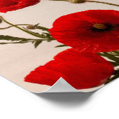 Poster Pavot rouge (Coin)