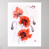 Pavot rouge suce encre et aquarelle