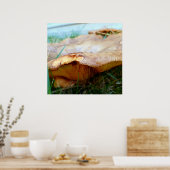 Poster Paxillus involutus (Cuisine)