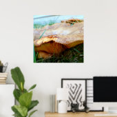 Poster Paxillus involutus (Bureau à domicile)