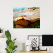 Poster Paxillus involutus (Bureau à domicile)