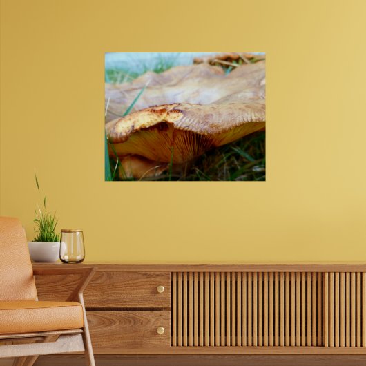 Poster Paxillus involutus (Salon 2)