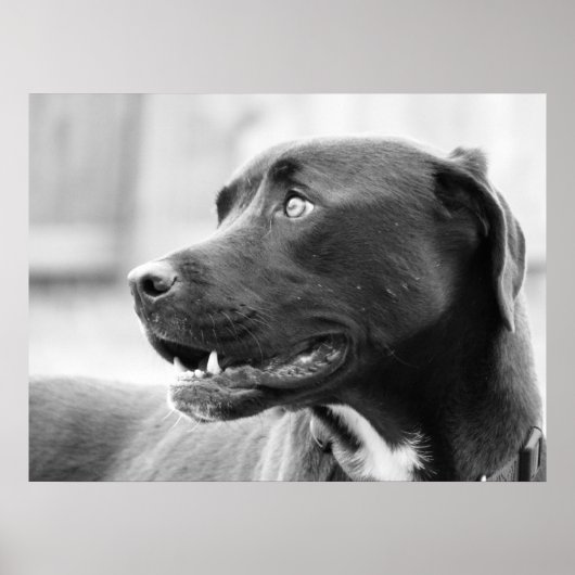 Poster Payer attention (Devant)