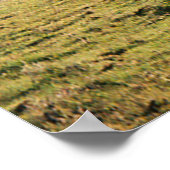 Poster Pays à l'automne...... (Coin)