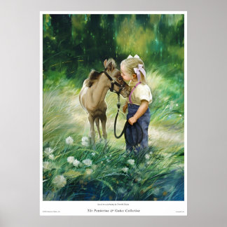 Poster Pays amis