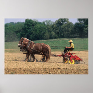 Poster Pays Amish des gens simples dans l'agriculture ave