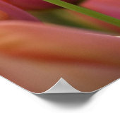 Poster Pays-Bas alias Holland), Lisse. Keukenhof 6 (Coin)