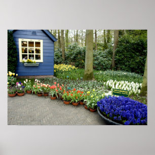Poster Pays-Bas (alias Hollande), Lisse. Keukenhof 11